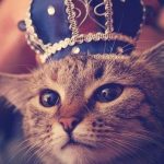 пользователь 