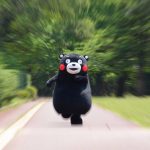 пользователь 