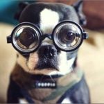 пользователь 