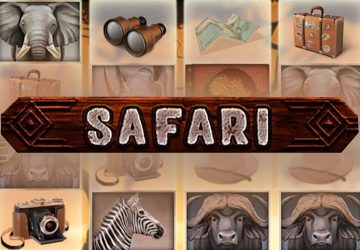 Safari
