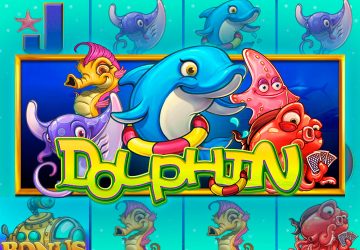 Dolphin