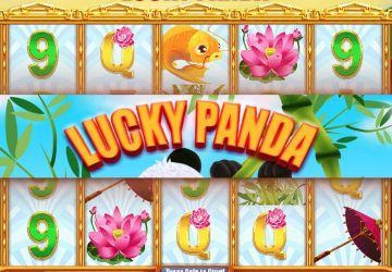 Lucky Panda