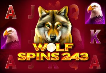 Wolf Spins 243