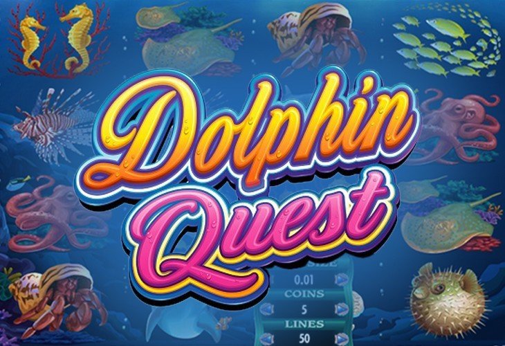 Dolphin Quest