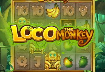 Loco the Monkey