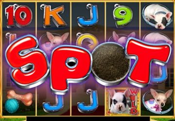 Spot
