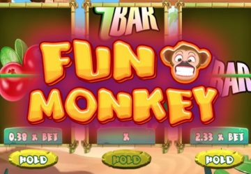 Fun Monkey