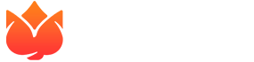 Playbro Playbro